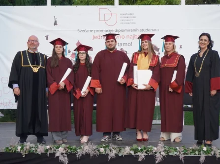 Opis slike